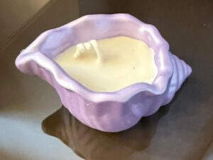 Shell Shaped Concret Jar